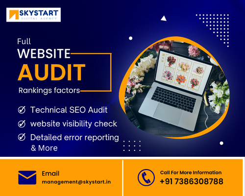 Full Website Audit Service
